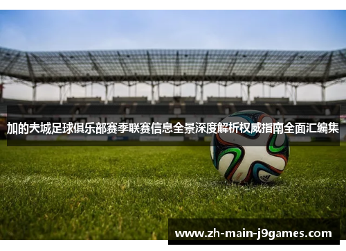 加的夫城足球俱乐部赛季联赛信息全景深度解析权威指南全面汇编集