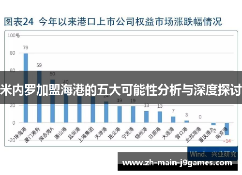 米内罗加盟海港的五大可能性分析与深度探讨
