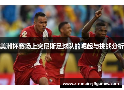 美洲杯赛场上突尼斯足球队的崛起与挑战分析